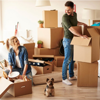 Service item City Packers and Movers